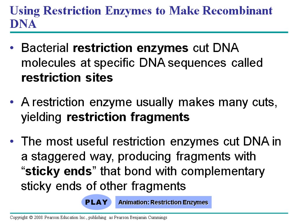 Using Restriction Enzymes to Make Recombinant DNA Bacterial restriction enzymes cut DNA molecules at